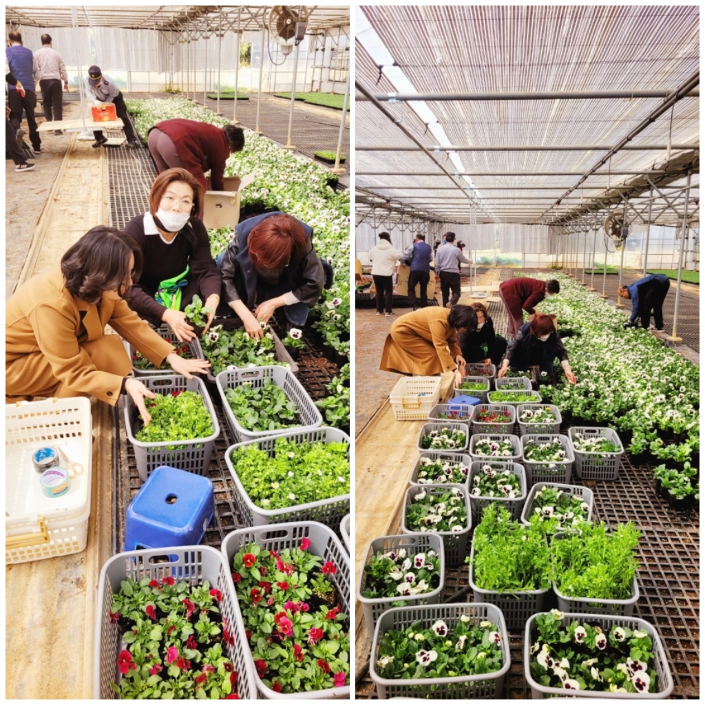 �����̹�������:layout 2023-3-20.jpg